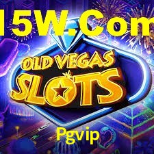 Pgvip App Interface